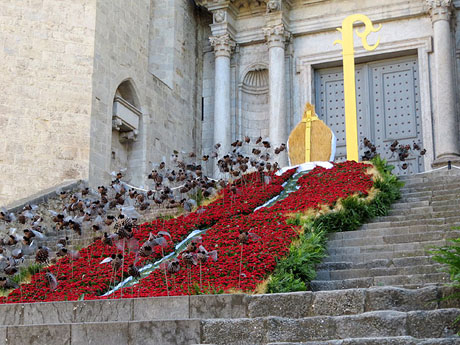 Temps de Flors 2022. Basílica de Sant Feliu. Escalinata principal