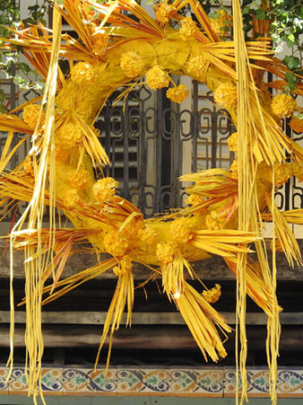 Temps de Flors 2022. Antiga Casa de la Generalitat