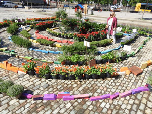 Temps de Flors 2022. Jardí de la Infància