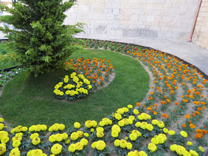 Temps de Flors 2022. Placeta de Maria Laffitte