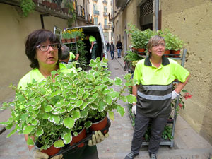 Temps de Flors 2022. Making of de l'esdeveniment