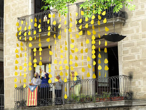 Temps de Flors 2022. Making of de l'esdeveniment