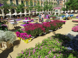 Temps de Flors 2022. Making of de l'esdeveniment