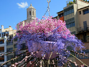 Temps de Flors 2022. Making of de l'esdeveniment