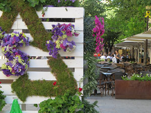 Temps de Flors 2022. Making of de l'esdeveniment