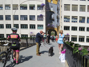 Temps de Flors 2022. Making of de l'esdeveniment