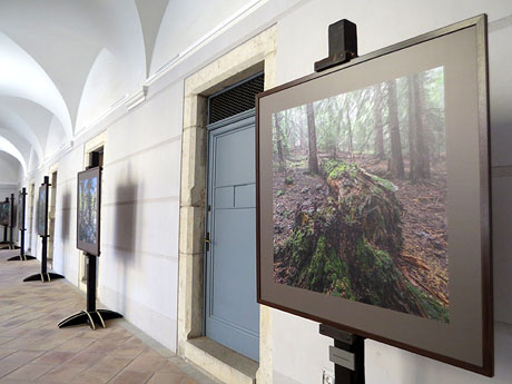 Temps de Flors 2022. Centre Cultural La Merc&egrave;