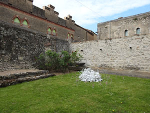 Temps de Flors 2022. Jardins del Museu d'Art