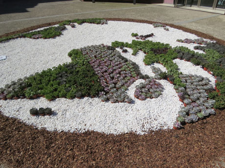 Temps de Flors 2022. Pla&ccedil;a del Pallol