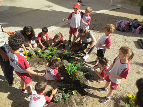 Temps de Flors 2022. Plaça de Sant Feliu