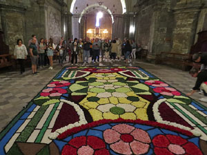 Temps de Flors 2022. Basílica de Sant Feliu. Capella de Sant Narcís