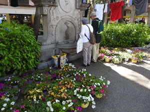 Temps de Flors 2022. Rambla Jacint Verdaguer