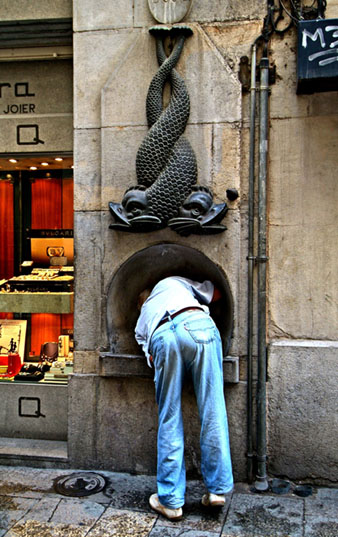 Font del Pou de la Cadena carrer Argenteria. 2008