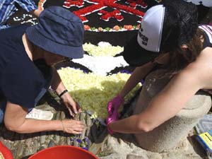 La Diada de Corpus 2023. Les catifes