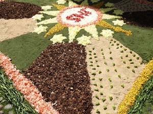 La Diada de Corpus 2023. Les catifes