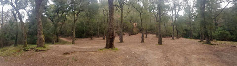 L'entorn de la font dels Lleons