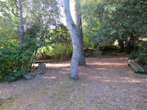 El Jardí de la Jueva
