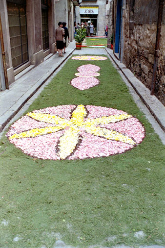 Catifes de flors al carrer de les Peixateries Velles amb motiu de la festivitat de Corpus. 1995