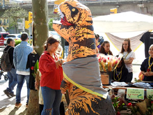 Sant Jordi 2023. Diada de Sant Jordi 2023 a Girona