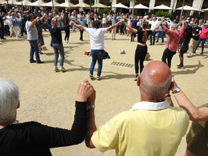 Sant Jordi 2023. Audici&oacute; de sardanes amb la Cobla Bisbal Jove