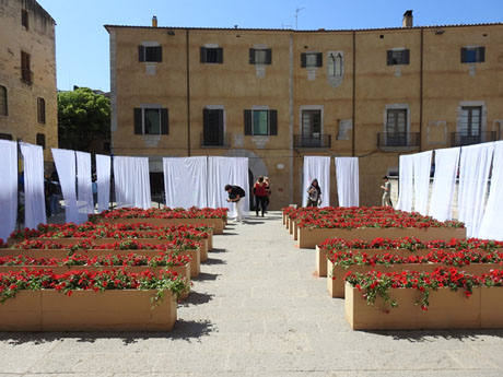 Temps de Flors 2023. Pla&ccedil;a dels Ap&ograve;stols