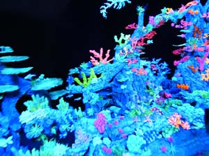 Temps de Flors 2023. Casa Lle&oacute; Avinay