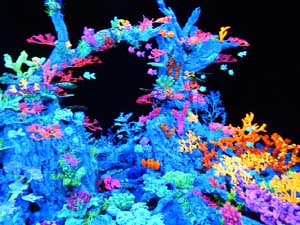 Temps de Flors 2023. Casa Lle&oacute; Avinay