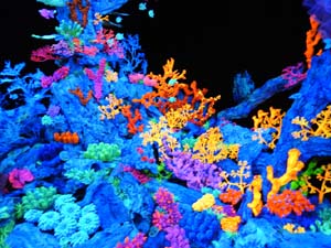 Temps de Flors 2023. Casa Lle&oacute; Avinay