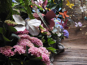 Temps de Flors 2023. Casa Lle&oacute; Avinay