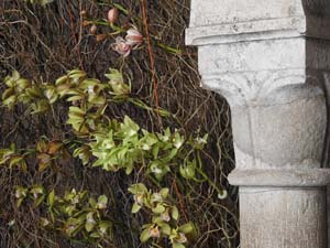 Temps de Flors 2023. Els Banys &Agrave;rabs