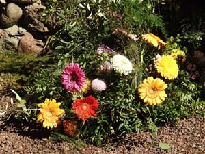 Temps de Flors 2023. Els Banys &Agrave;rabs