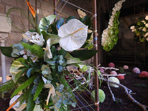 Temps de Flors 2023. Claustre de la Catedral