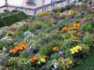 Temps de Flors 2023. Catedral - escales