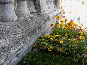 Temps de Flors 2023. Catedral - escales