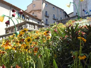 Temps de Flors 2023. Catedral - escales