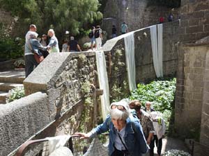Temps de Flors 2023. Catedral - Passadís al fossat de l'absis