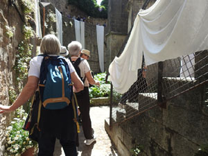 Temps de Flors 2023. Catedral - Passadís al fossat de l'absis