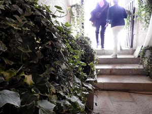 Temps de Flors 2023. Catedral - Passadís al fossat de l'absis