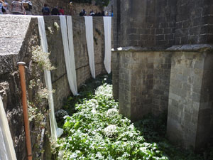 Temps de Flors 2023. Catedral - Passadís al fossat de l'absis