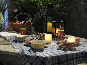 Temps de Flors 2023. Soterranis de la Catedral