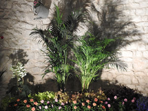 Temps de Flors 2023. Soterranis de la Catedral