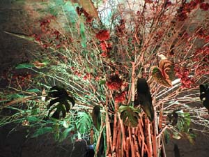 Temps de Flors 2023. Soterranis de la Catedral