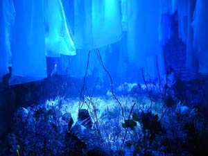 Temps de Flors 2023. Soterranis de la Catedral