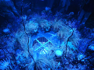 Temps de Flors 2023. Soterranis de la Catedral