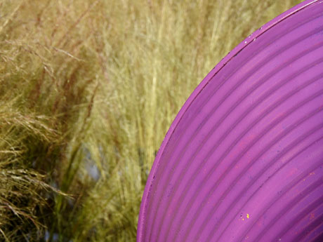 Temps de Flors 2023. Esgl&eacute;sia dels Dolors (escales)