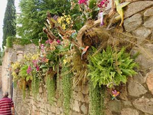 Temps de Flors 2023. Carrer Ferran el cat&ograve;lic - paret