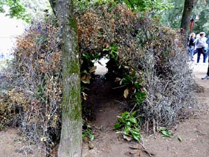 Temps de Flors 2023. Jardins dels doctor Figueras