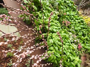 Temps de Flors 2023. Jardins dels doctor Figueras