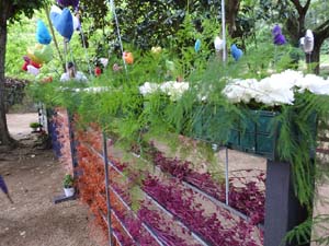 Temps de Flors 2023. Jardins dels doctor Figueras