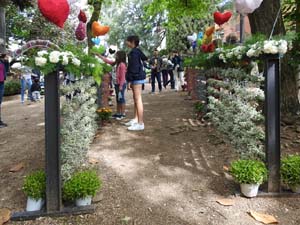 Temps de Flors 2023. Jardins dels doctor Figueras